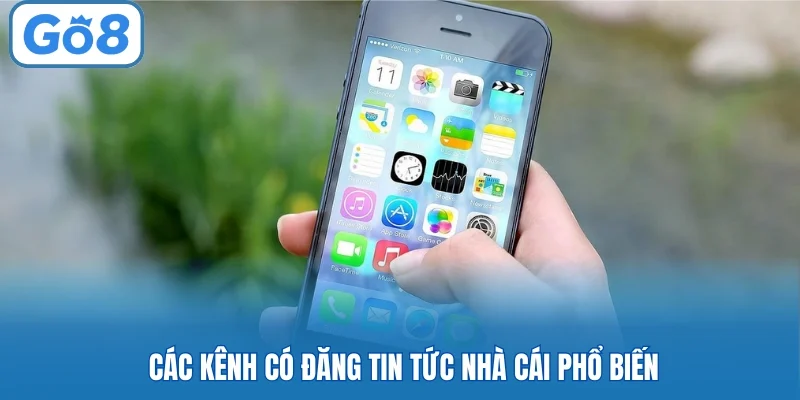Các kênh có đăng tin tức nhà cái phổ biến